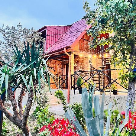 Sunshine House Villa Kutaisi Bagian luar foto