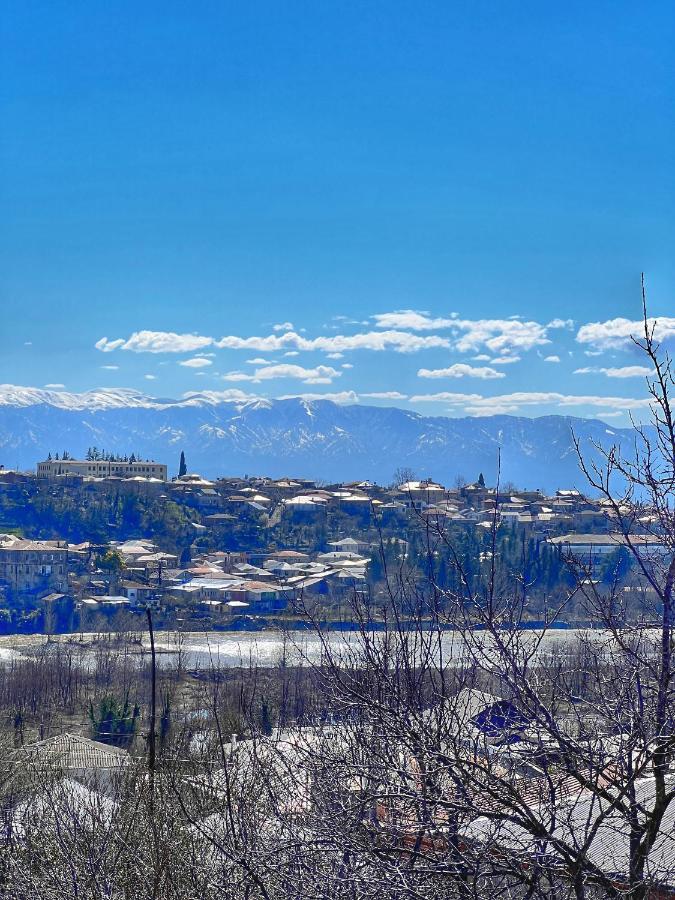 Sunshine House Villa Kutaisi Bagian luar foto