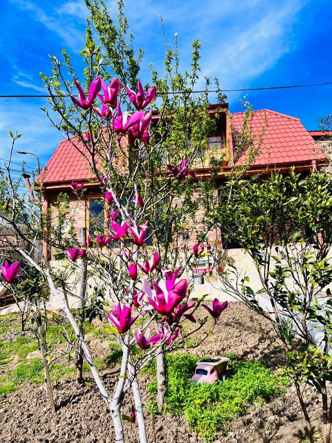 Sunshine House Villa Kutaisi Bagian luar foto
