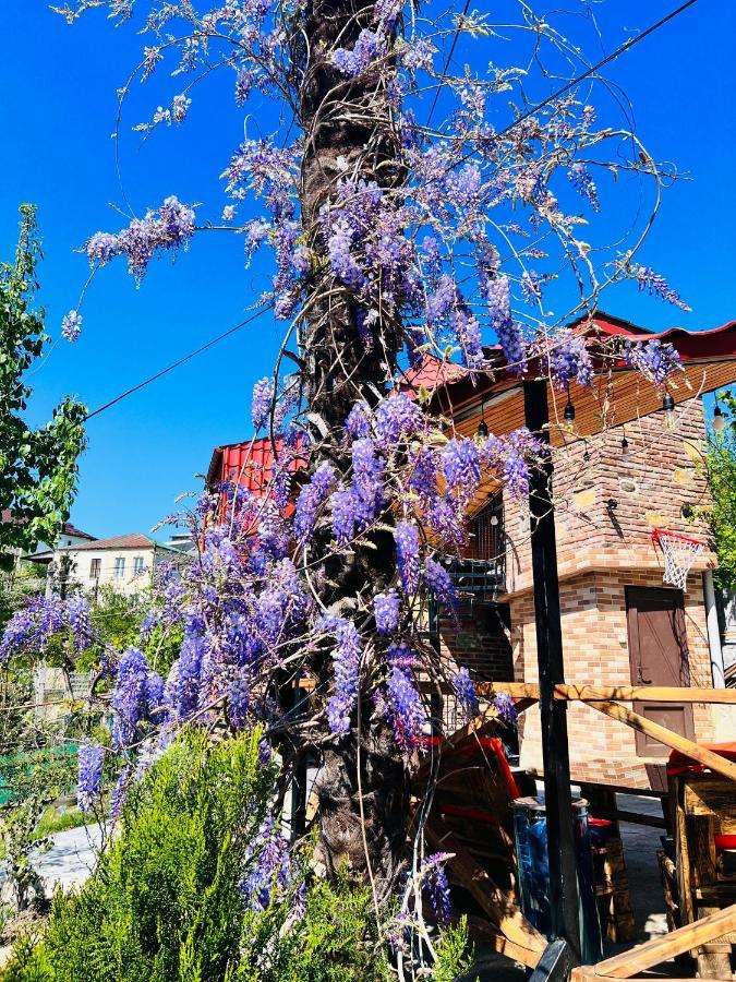 Sunshine House Villa Kutaisi Bagian luar foto