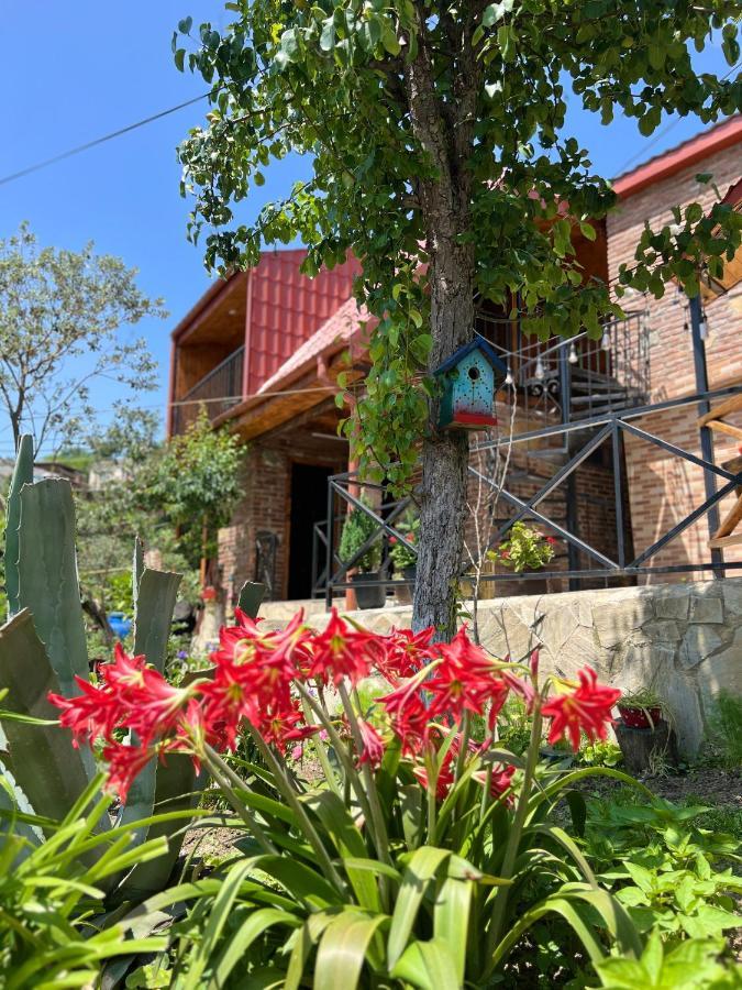 Sunshine House Villa Kutaisi Bagian luar foto