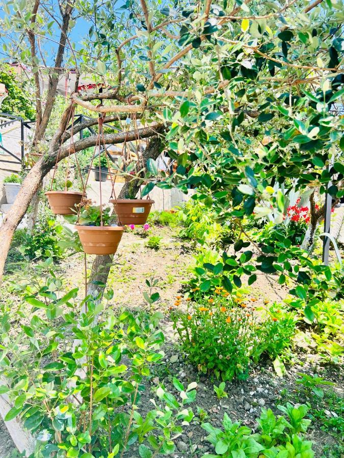 Sunshine House Villa Kutaisi Bagian luar foto