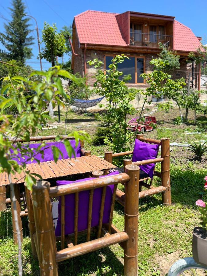 Sunshine House Villa Kutaisi Bagian luar foto