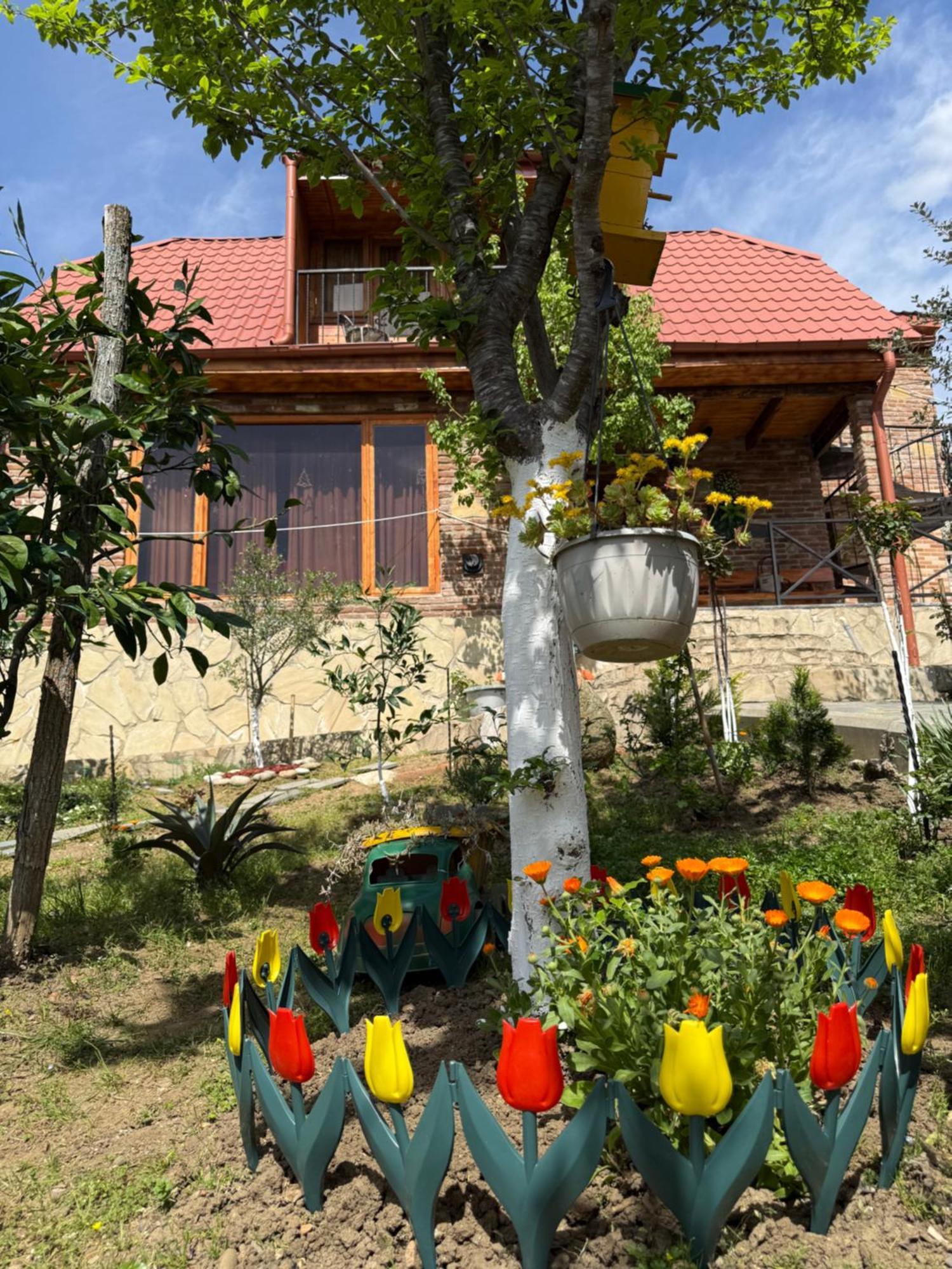 Sunshine House Villa Kutaisi Bagian luar foto